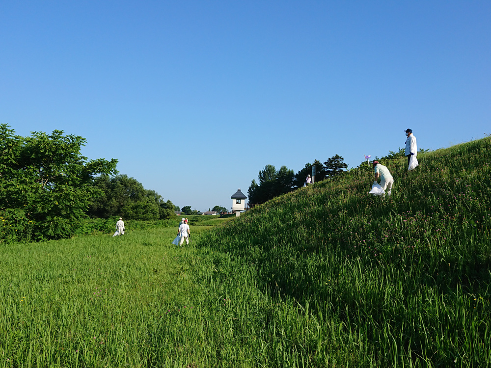 丸子川清掃